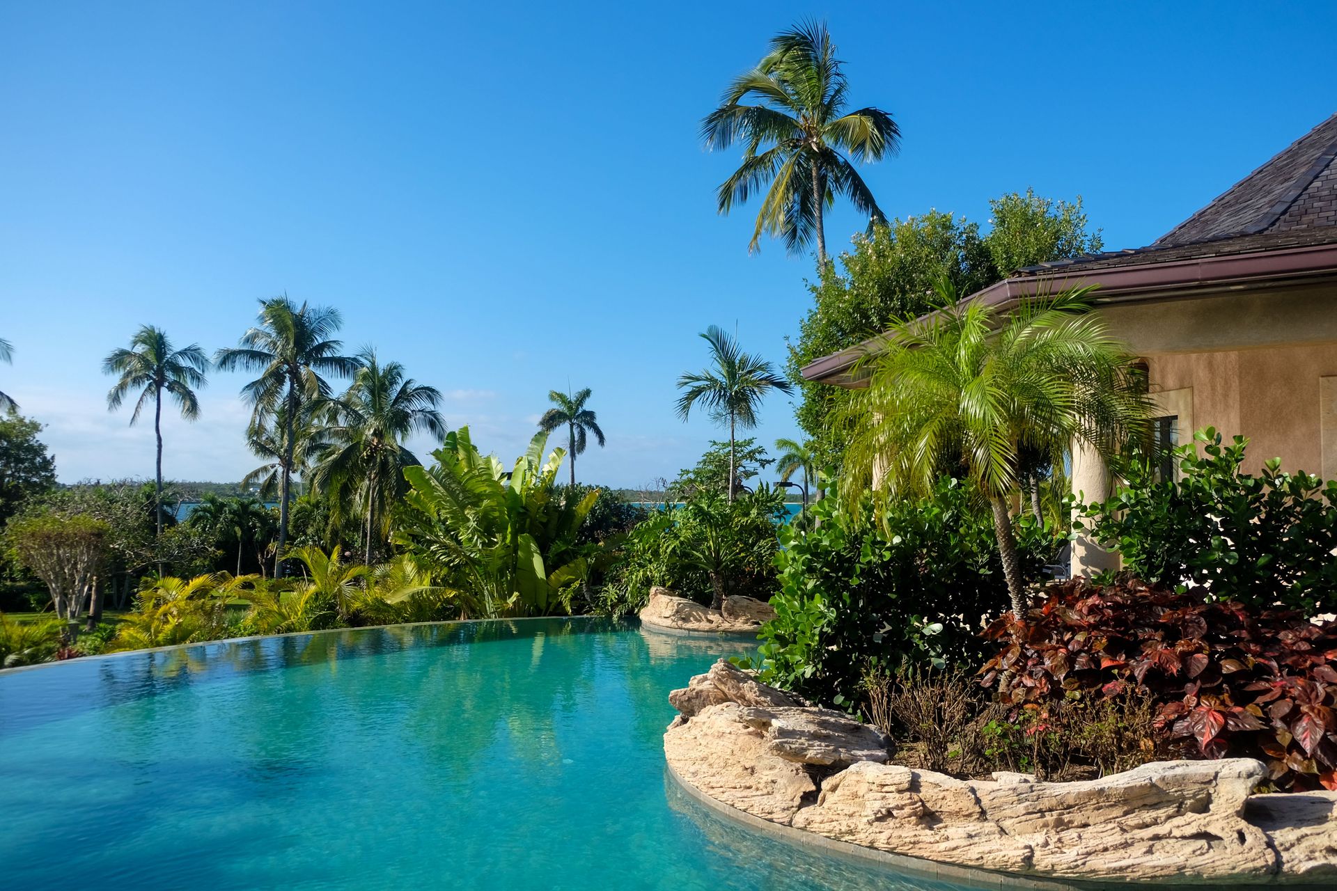 A serene tropical poolside view with lush greenery in New York.